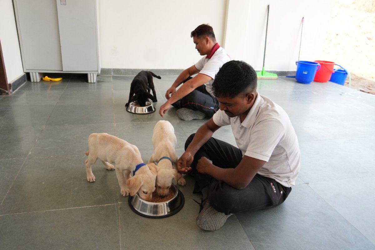 CSSR Training