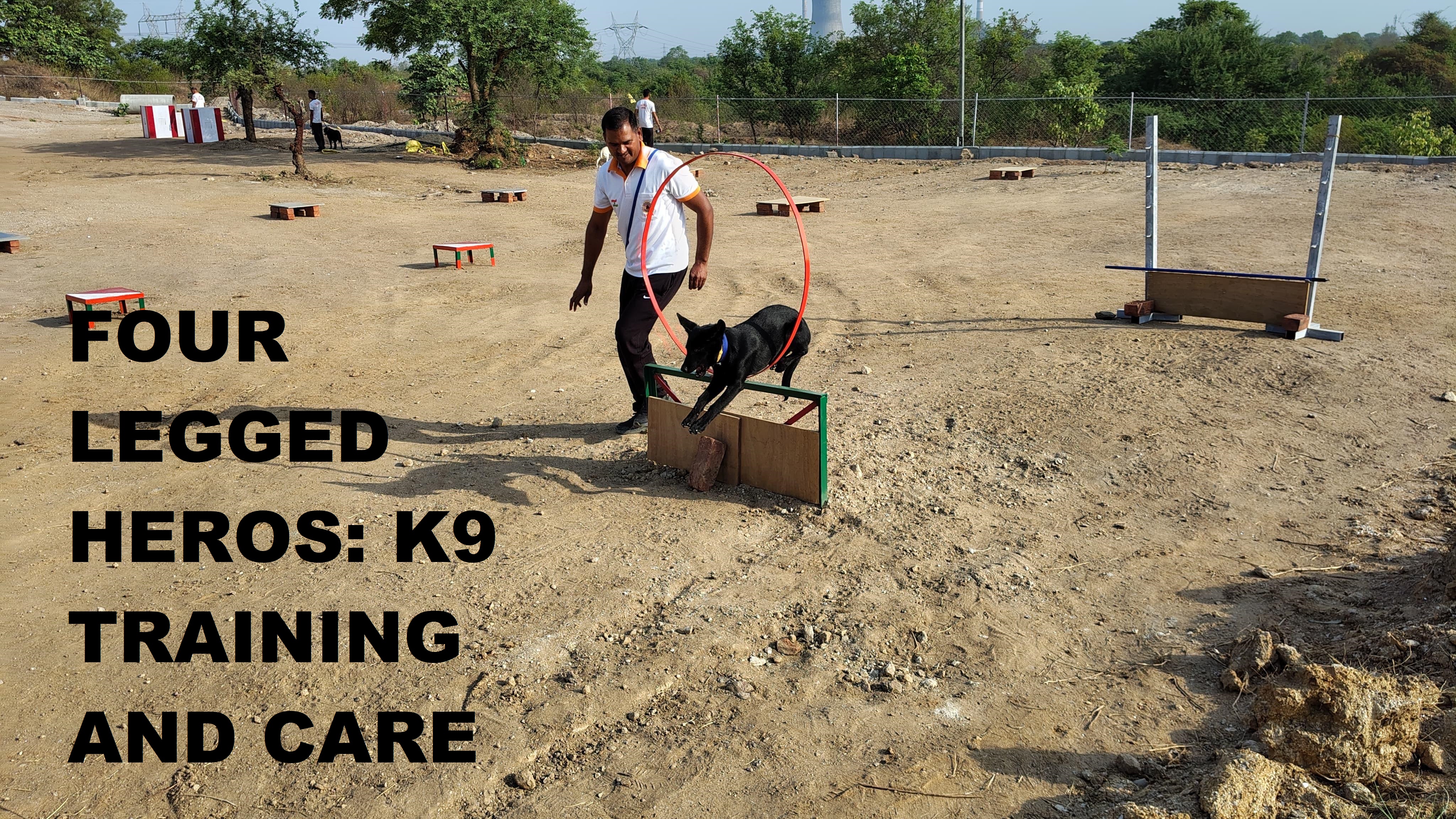 Canine Training